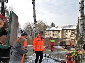 Der städtische Baumkontrolleur Martin Friederich (links) und Peter Borst, Bereichsleiter Servicemanagement, beobachten das Fällen des letzten Birkenstammes vor dem Parkfriedhof  Fotos: Sigismund von Dobschütz