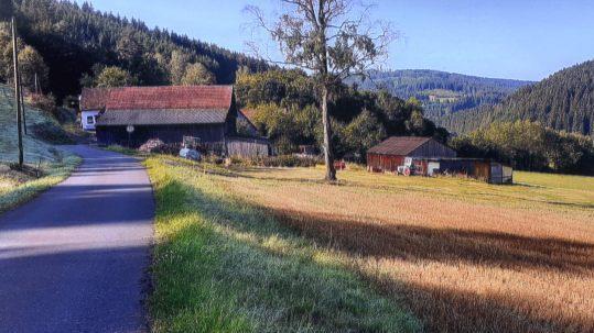 Morgenstimmung in Geschwend im romantischen Kremnitztal.Roland Graf