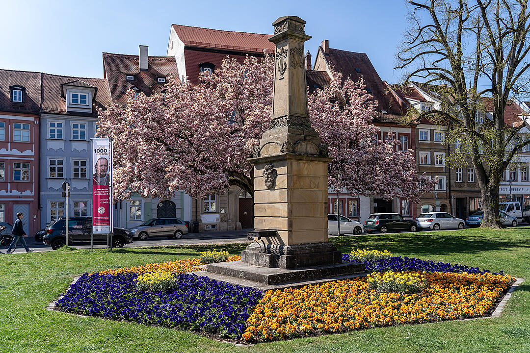 Bamberg im Frühling.