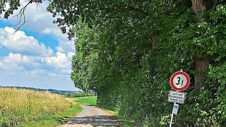 Die Stra&szlig;e zwischen Mittelehrenbach und Dobenreuth ist in einem schlechten Zustand. Thomas Weichert