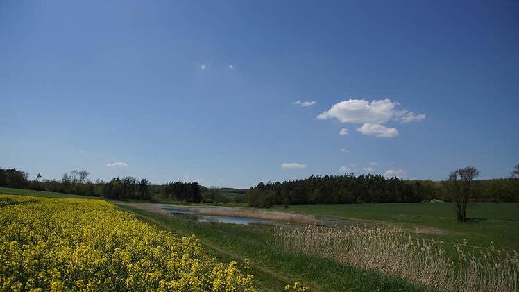 Vogel-Impressionen vom Schirmsee. Foto: Anton Then