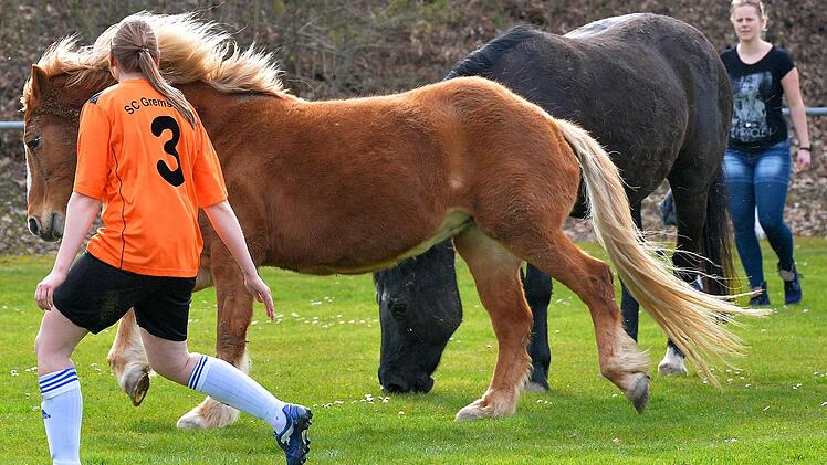 Die Gremsdorfer "Bixn" um Julia Woiton (links) bekamen im Heimspiel gegen die SG Poxdorf-Möhrendorf tierische Unterstützung. Foto Picturedreams