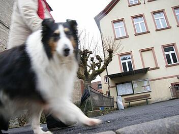 Pflaster soll die jetzige Asphaltfläche zwischen der Kirche und der alten Schule auflockern. Foto: Archiv/ Arkadius Guzy