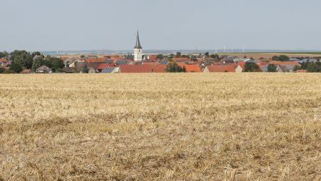Foto: Barbara Herbst