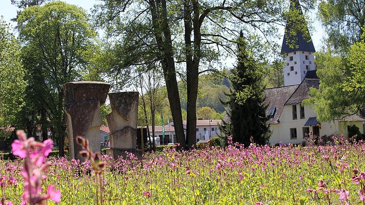 Im Georgi-Kurpark ist die Farbenpracht der Blühwiese bereits zu sehen. Foto: Julia Raab