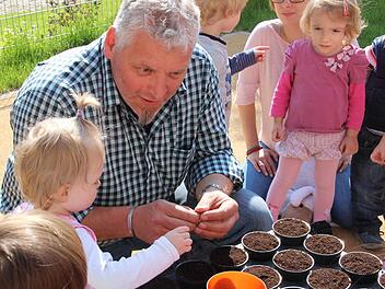Stadtgärtner Johannes Lindner erklärt den Kindern, was die Sonnenblume besonders macht. Fotos: Carmen Schmitt