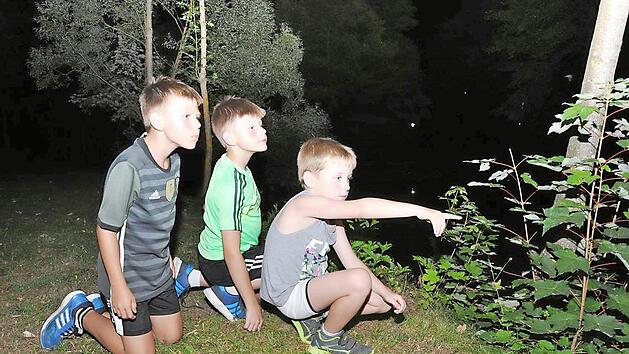 Umwelttechnikerin Christine Neubauer wusste so einiges zum Thema "Flederm&auml;use - Kobolde der Nacht" zu erz&auml;hlen. Auch diese drei Fischbacher "frechen Fr&uuml;chtla" begaben sich auf n&auml;chtliche Fledermaus-Suche.  Foto: privat