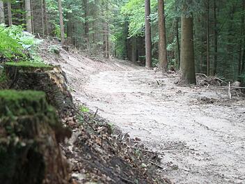 Einer der kürzlich verbreiterten Rückewege am Nordhang des Buchwalds. Foto: Jochen Nützel