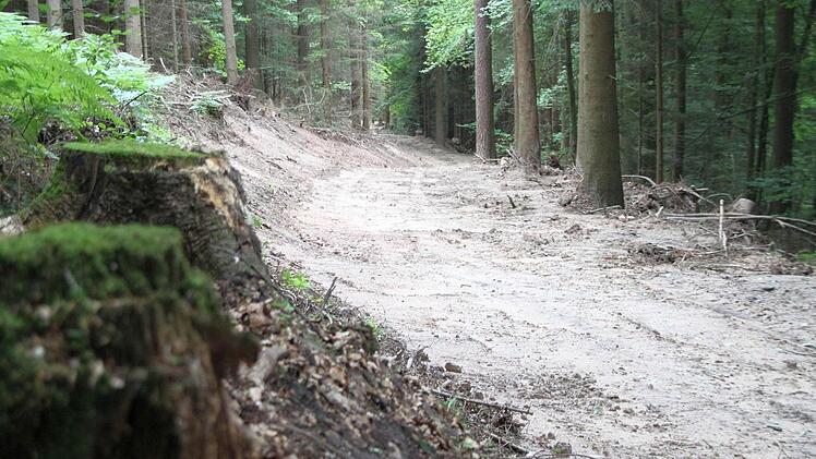 Einer der kürzlich verbreiterten Rückewege am Nordhang des Buchwalds. Foto: Jochen Nützel