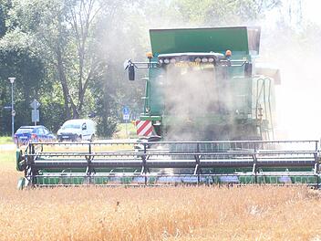 Der Mähdrescher mit seinem 7,80 Meter breiten Mähwerk auf dem Weizenfeld in Fröschbrunn  Foto: Friedwald Schedel