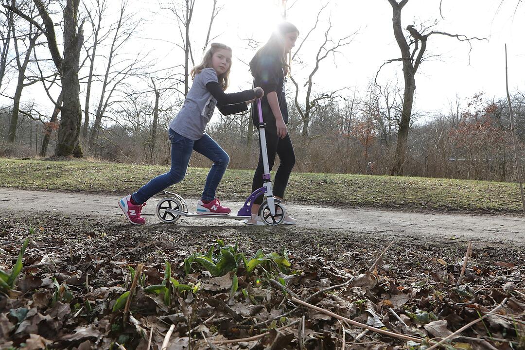 Frühling in Franken: Das Leben erwacht