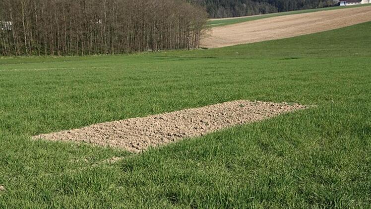 So sehen Lerchenfenster aus, die im Zuge des Baus der Ortsumgehung von Döllnitz angelegt werden sollen. Ein Statt eines Eintrags in Grundbuch soll nun aber einer privatrechtlicher Vertrag geschlossen werden.   Foto: BBV