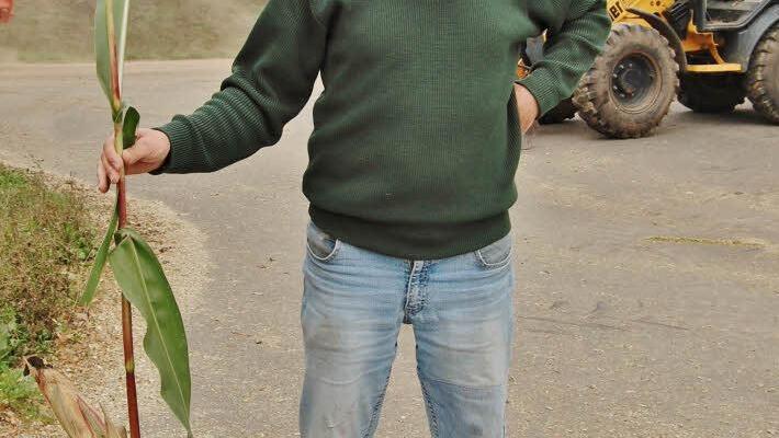 Landwirt Jochen Then: "Heuer ist die Mais-Ernte um ein Drittel geringer." Foto: Sigismund von Dobschütz