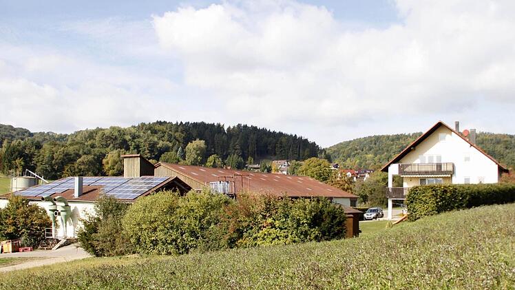 Viel Wald und viel Gegend in Niedermirsberg: auf dieser Wiese ist die Biogas-Anlage geplant.