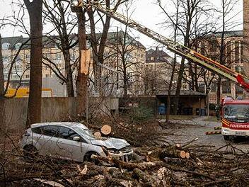 In der Münchner Innenstadt stürzte ein Baum auf ein Auto. Foto: Sina Schuldt/dpa