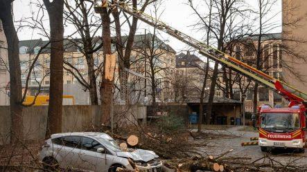 In der Münchner Innenstadt stürzte ein Baum auf ein Auto. Foto: Sina Schuldt/dpa