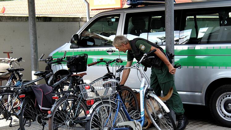 Die Hundeführer demonstrierten das Können ihrer Hunde. Foto: Richard Sänger