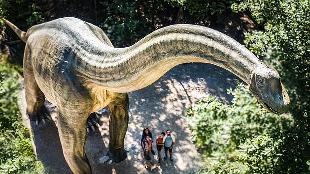 Dinosaurier Museum Altm&uuml;hltal
