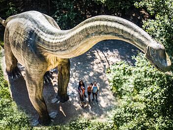 Dinosaurier Museum Altmühltal