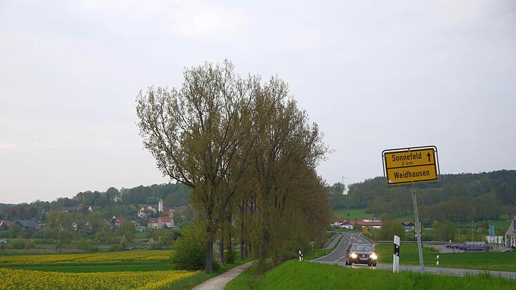 Die alte Allee zwischen Weidhausen und Sonnefeld ist Geschichte.