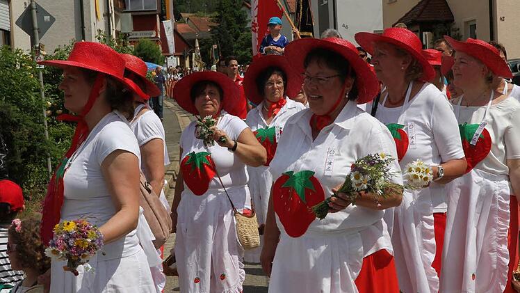 Bunt präsentierte sich der Festzug Foto: Mathias Erlwein