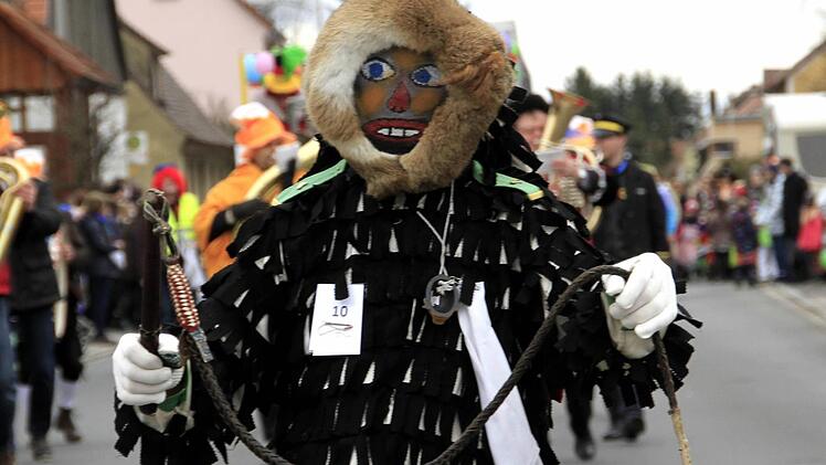 Impressionen vom Faschingsumzug der Weisendorfer Blummazupfer. Foto: Richard Sänger