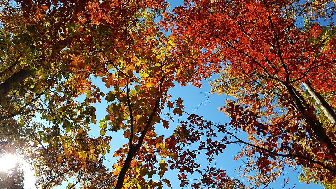 Die schönsten Herbstfotos aus Kronach und Umgebung