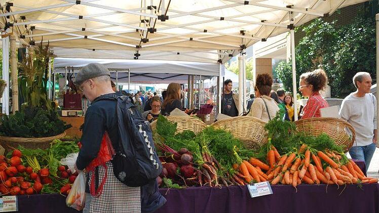 Am Sonntag, 23. Juni, ist auf dem Nürnberger Hauptmarkt Einiges geboten. Foto: lylafoggia/pixabay.com