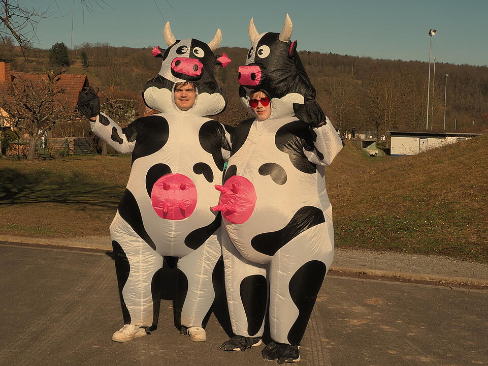 Fasching 2025 im Landkreis Bad Kissingen!