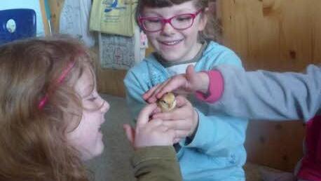 Annemarie Messner, Soey Holzschuh und Lilly Fröhlich Foto: privat