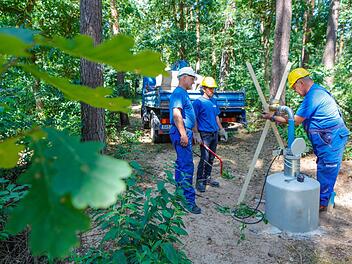 Die Stadtwerke suchen gemeinsam mit der Bahn nach Ersatz für eine Brunnengalerie im Stadtwald am Wasserwerk südlich von Bamberg. Die ersten Probebohrungen und Pumpversuche (im Bild) liefen bereits. Fotos: Matthias Hoch