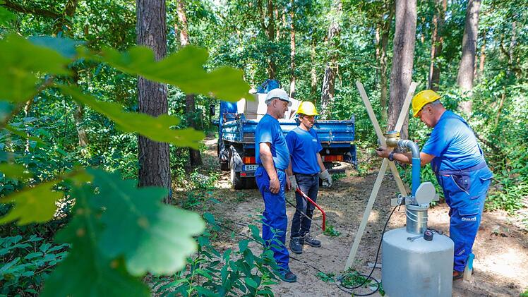 Die Stadtwerke suchen gemeinsam mit der Bahn nach Ersatz für eine Brunnengalerie im Stadtwald am Wasserwerk südlich von Bamberg. Die ersten Probebohrungen und Pumpversuche (im Bild) liefen bereits. Fotos: Matthias Hoch
