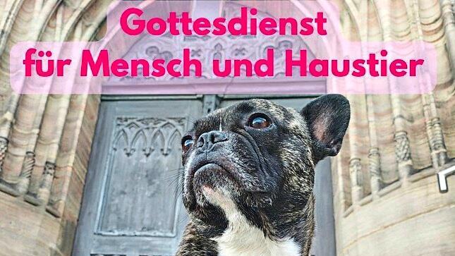 Die Beziehungen zwischen Haustieren und ihren Menschen steht bei der kirchlichen Feier am 23. August in St. Georg im Mittelpunkt. Grafiken: Gregor Wierciochin