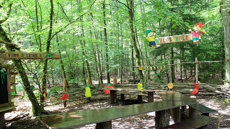 Impressionen aus dem Waldkindergarten  Foto: Johanna Blum
