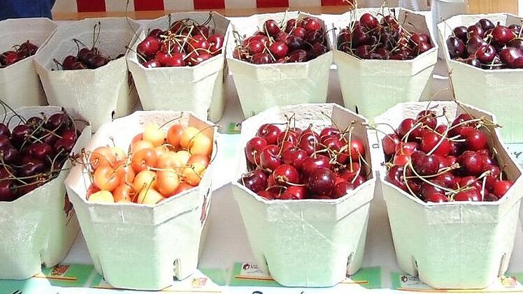 Viele Sorten Kirschen aus der Obstbauversuchsanlage in Hiltpoltstein Fotos: Petra Malbrich