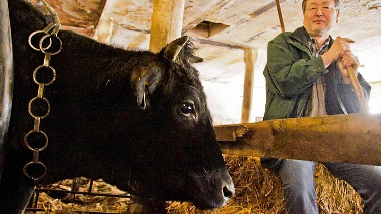 Naomi Goi mit Motoko, der Mutterkuh der japanischen Wagyu-Zucht in Zoggendorf bei Heiligenstadt in der Fränkischen Schweiz. Fotos: Nikolas Pelke