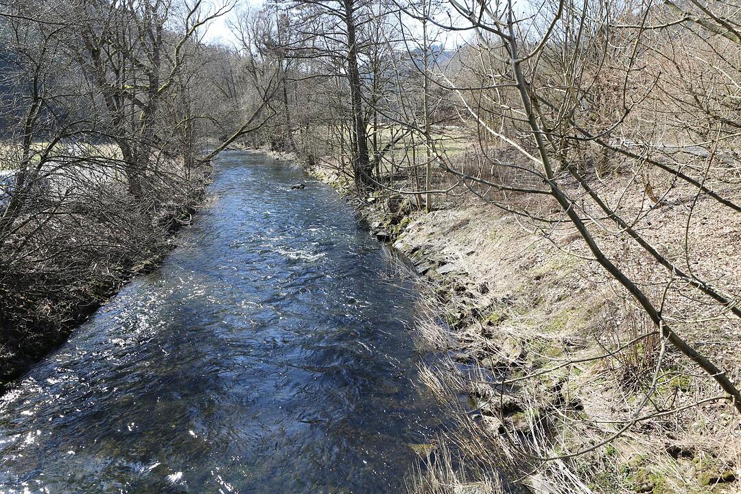 SoS Steinwiesen Lkr. KC; Foto: Barbara Herbst