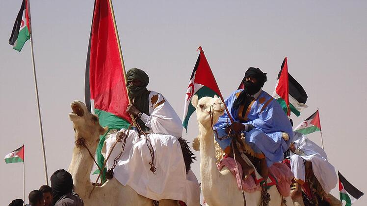 Foto: Reinhard Beichel