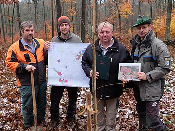 Wolfgang Fuchs, Matthias Luinz, Egon Kl&ouml;ffel und Hubert T&uuml;rich beim Pflanzen des Speierlings. Foto: Philipp Bauernschubert