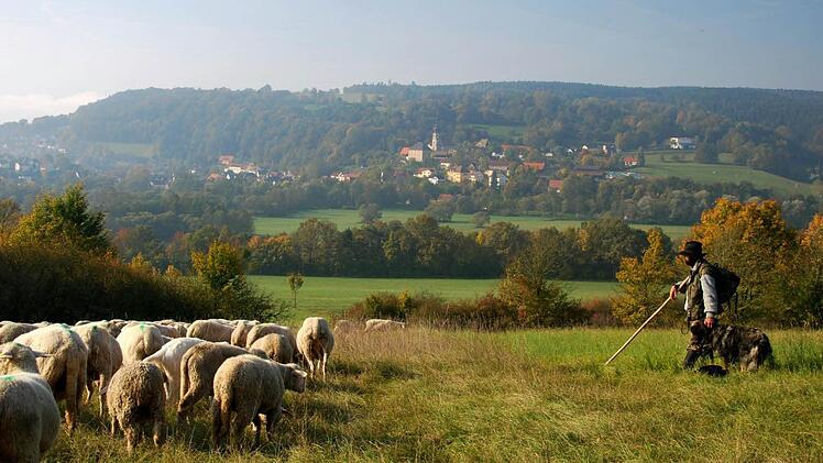 Foto: Dieter Hübner, Ort: Weißmain-Tal bei Trebgast am Feulner Berg