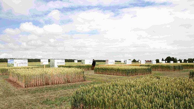 Foto: Richard Sänger