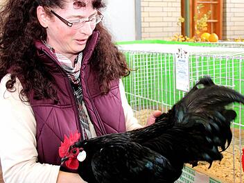 Ines Schaffer mit ihrem prämierten Zwerg-Sachsenhuhn.  Foto: Johanna Blum
