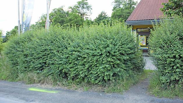 Mit gelber Spr&uuml;hfarbe markierten die Kripo-Beamten die Spur (links unten), die der T&auml;ter bei der Flucht mit dem Motorrad hinterlassen hat. Foto: Ralf Kestel