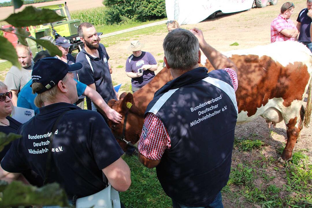 Bad Kissingen: Protest der Milchbauern