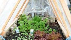 Kreativ im Garten: Rosemarie Hübner aus Katschenreuth verwirklicht in ihrer grünen Oase ihre Ideen und findet dabei Ruhe und Entspannung. Foto: Dagmar Besand