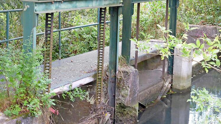 Das Wehr treibt vor allem einen Naturschützer um.