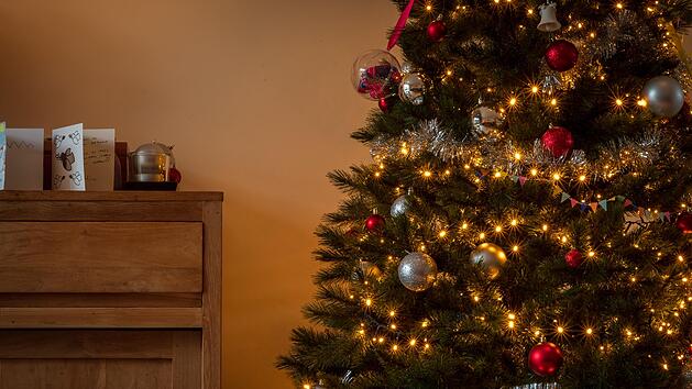 Christbaumpflege: so bleibt er bis Weihnachten saftig grün