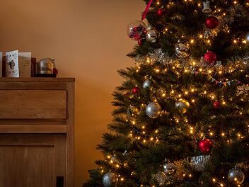 Christbaumpflege: so bleibt er bis Weihnachten saftig grün