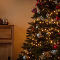 Christbaumpflege: so bleibt er bis Weihnachten saftig grün