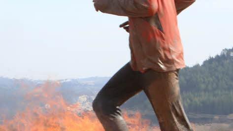 Foto: Barbara Herbst